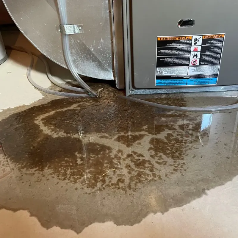 Pipe Burst and Leak Restoration in Hyrum, UT